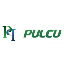 Pulcu